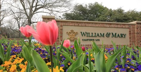 10 Easiest Classes at College of William & Mary - Humans of University College Of William & Mary, William And Mary College, Washington And Lee University, Best Colleges, William & Mary, University Of Richmond, William And Mary, College Tips, College Park