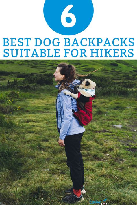 Diy Dog Backpack, Dog Hiking Backpack, Backpack For Dogs, Dog Backpack Carrier, Pet Backpack Carrier, Diy Backpack, Hiking Dogs, Dog Backpack, Dog Ideas