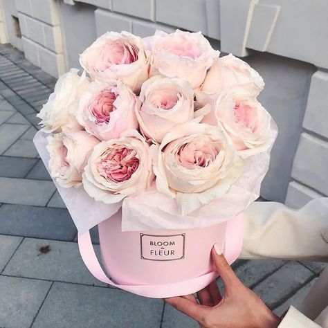 Flowers 🌺 on Twitter: "… " Rosen Box, Bouquet Box, Flower Box Gift, Trendy Flowers, Pink Box, Luxury Flowers, Deco Floral, Beautiful Blooms, Flower Boxes