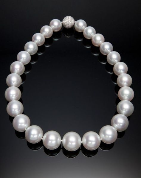 Pearl Strands - Assael South Sea Pearl Necklace, South Sea Pearls Earrings, Pearl Strands Necklace, White Pearl Necklace, Cultured Pearl Necklace, Yoko London, Sea Pearl, Pearl Strands, Sea Pearls