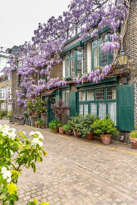 Best Mews in London - You Have to See These London Mews Streets Wisteria House, Best Places In London, House In London, Mews House, Walks In London, London Spring, London House, House Portraits, England And Scotland