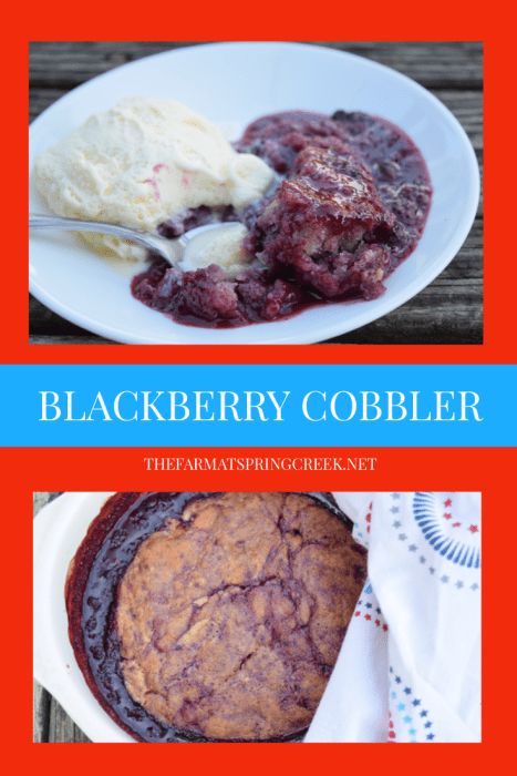 Blackberry Cobbler - The Farm at Spring Creek Southern Blackberry Cobbler, Old Fashioned Blackberry Cobbler, Easy Blackberry Cobbler, Best Vanilla Ice Cream, Blackberry Cobbler Recipe, Rustic Dessert, Betty Crocker Recipes, Berry Cobbler, Blackberry Cobbler