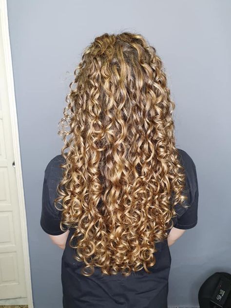 Honey Blonde Curls, Honey Blonde Curly Hair, Golden Curly Hair, Light Brown Curly Hair, Cornrow Styles, Highlights Curly Hair, Brown Curly Hair, Extension Hair, Curly Hair Tutorial