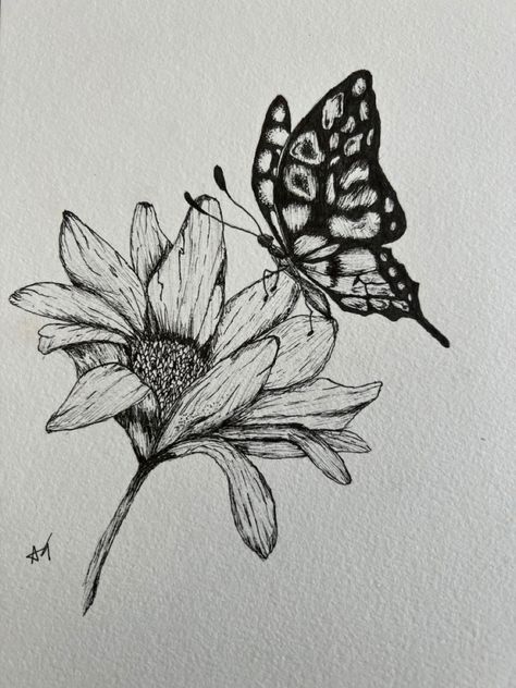 Butterfly On Leaf Drawing, Sunflower Butterfly Drawing, Butterfly And Flowers Drawing, Butterfly On Flower Drawing, Butterfly Pencil Drawing, Plant Sketches, Butterfly Sketch, Flower Line Drawings, Nature Art Drawings