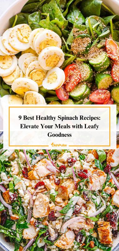 Elevate your meals with leafy goodness with the 9 Best Healthy Spinach Recipes! From hearty salads to creamy dips, enjoy delicious dishes that showcase the versatility of spinach. 🥬💚 


#HealthySpinachRecipes #LeafyGoodness #NutritiousOptions #VersatileIngredients #DishPulse 𝗚𝗶𝘃𝗲 𝗮 𝗵𝗲𝗮𝗿𝘁 𝘁𝗼 𝗯𝗼𝗼𝗸𝗺𝗮𝗿𝗸 𝗳𝗼𝗿 𝗹𝗮𝘁𝗲𝗿! Meals With Leafy Greens, Spinach Lunch Recipes, Heart Healthy Salads, Spinage Recipes, Meals With Spinach, Spinach Healthy Recipes, Spinach Meals, Healthy Spinach Recipes, Recipes With Spinach