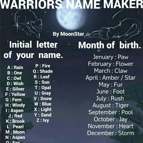 Warrior Cats Oc Maker, Storm Names, Warrior Cats Name Generator, Funny Name Generator, Name Maker, Warrior Cat Names, Moon Pool, Warrior Cats Comics, Warrior Names