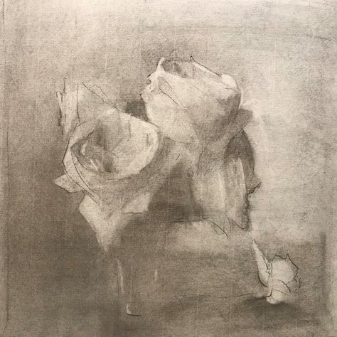 Instagram Drawing, Master Drawing, Charcoal Sketch, Flower Sketches, Roses Drawing, Figure Sketching, Floral Drawing, The Subject, Ap Art