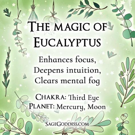 Tree Meanings, Zodiac Essential Oils, Dream Herbs, Crystal Healing Chart, Magickal Herbs, Spiritual Awakening Signs, Healing Journaling, Essential Oil Diffuser Blends Recipes, Natural Magic