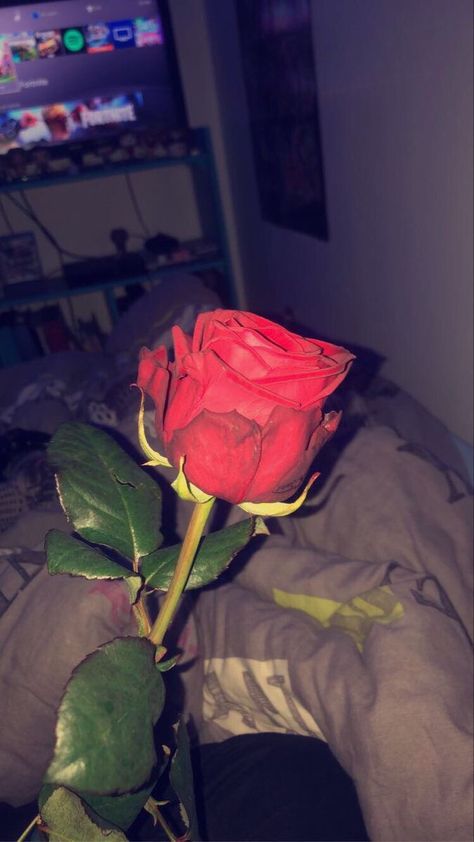 Rose Day Couple Pic, Rose Day Pic, Rosé Snapchat, Rose In Hand, Love Rose Flower, Rose Day, Cartoon Love Photo, Pretty Wallpapers Tumblr, Emoji For Instagram