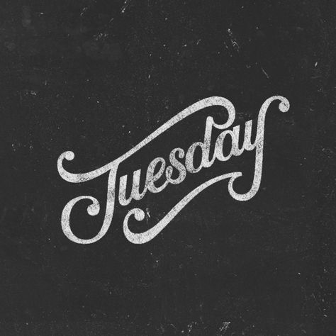 Tuesday calligraphy hand lettering calligritype Tuesday Calligraphy, Tuesday Lettering, Calligraphy Hand Lettering, Journal Fonts, Silhouette Cameo Tutorials, Chalk Lettering, Outdoors Tattoo, Learn Calligraphy, Easy Paper Crafts Diy