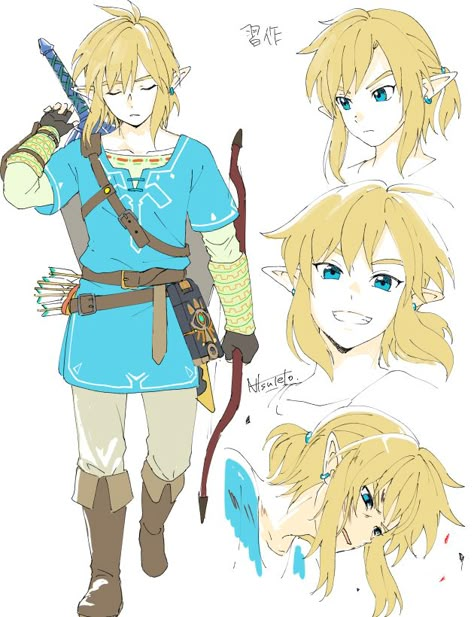 Loz Link, Zelda Drawing, Botw Link, Link Botw, Zelda And Link, Link And Zelda, Skins Minecraft, Link Art, Zelda Botw