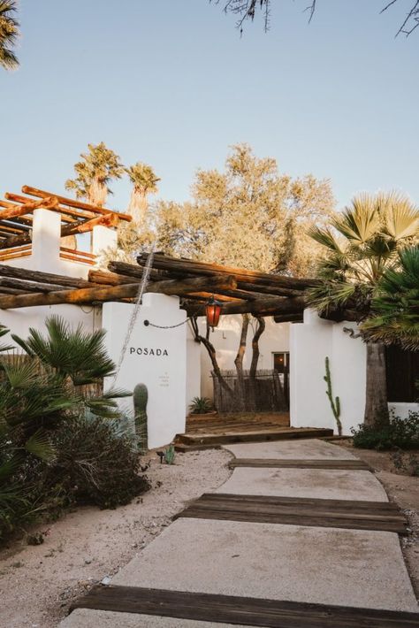 Staying at Posada by The Joshua Tree House in Tucson, Arizona - Bon Traveler Joshua Tree Landscaping, Arizona Houses, Joshua Tree House, The Joshua Tree, Casa Cook, Saguaro National Park, Tree House Diy, Arizona House, Decoration Restaurant