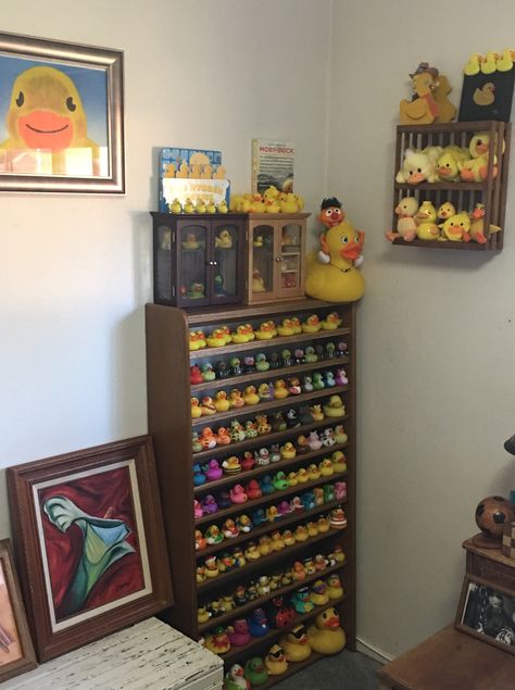 Kirsten Vangsness, Rubber Duckies, Duck House, Rubber Ducks, Rubber Ducky, Rubber Duck, Displaying Collections, Display Shelves, Ducks