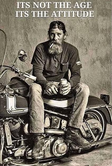 Hd Fatboy, Kombi Motorhome, Мотоциклы Harley Davidson, Motos Harley, Bike Quotes, Biker Quotes, Motorcycle Quotes, Biker Lifestyle, Moto Vintage