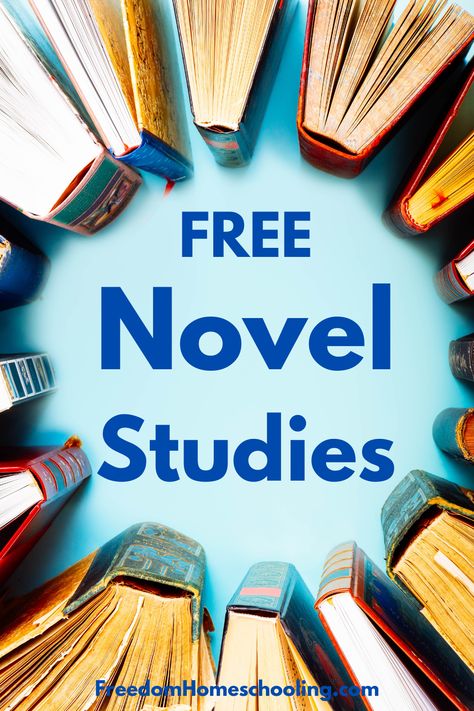 Free homeschool novel studies, book guides, and lesson plans for every grade. 2nd Grade Novel Studies, High School Novel Study, 6th Grade Novel Studies, Wonder Novel, Second Grade Books, Literature Unit Studies, Holes Book, Novel Study Activities, Novel Study Units