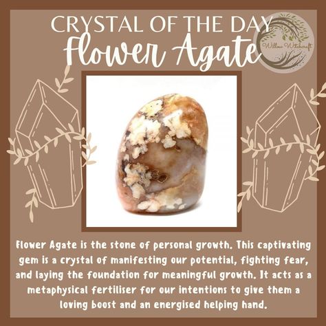 Flower Agate Crystal Meaning, Crystal Education, Crystal Powers, Crystal Knowledge, Agate Crystal Meaning, Witchy Crystals, Woo Girl, Crystal Identification, Crystal Magick