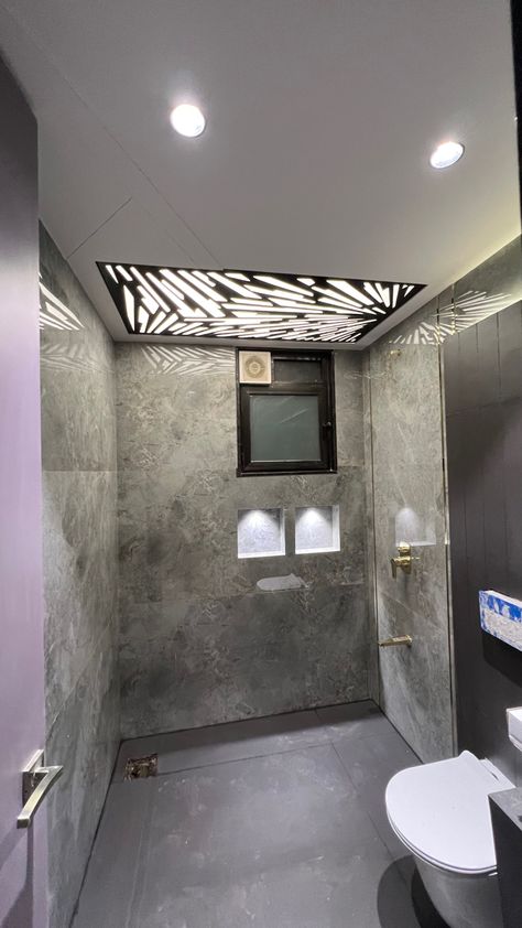 Toilet Ceiling, Site Work, Luxury House Interior Design, Ceiling Design, Types Of Art, Luxury House, Alcove Bathtub, Interior Exterior, Home Interior Design