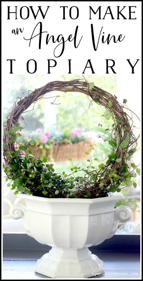 Wire Vine, Topiary Diy, Topiary Plants, Container Gardening Flowers, Inside Plants, Garden Containers, Garden Yard Ideas, Container Flowers, Garden Crafts