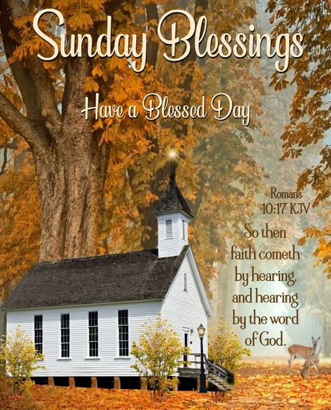 Good Morning, Happy Sunday, I pray that you have a safe and blessed day!! Good Morning Sunday Pictures, I Believe In Us, Romans 10 17, Blessed Sunday Morning, Sunday Morning Quotes, Sunday Greetings, Have A Blessed Sunday, Good Sunday Morning, Sunday Blessings