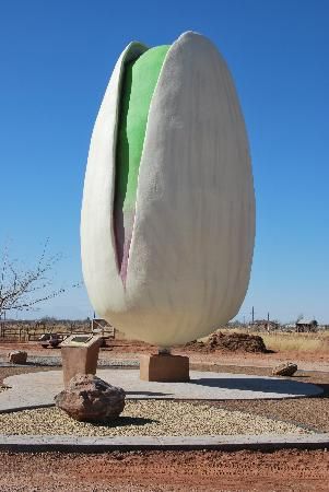 Largest pistachio in the world! Big Statue, Pistachio Tree, Alamogordo New Mexico, Pistachio Nut, California Plants, Chinese Market, Gallon Of Paint, Unusual Buildings, Born To Be Wild