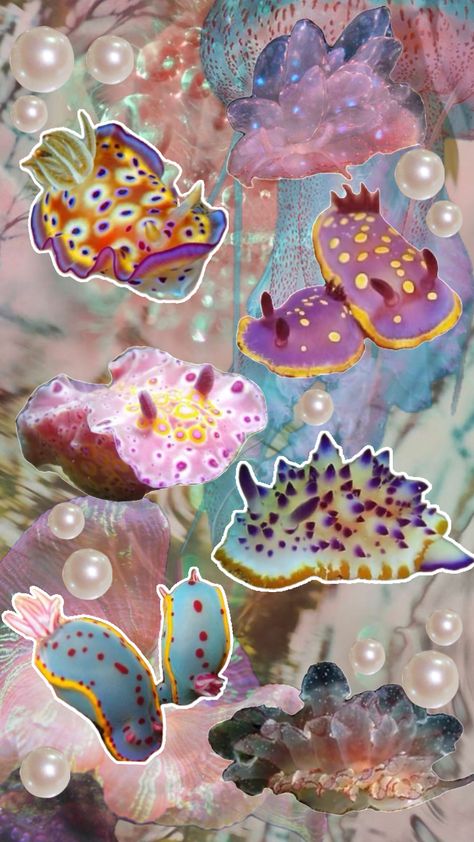 #underwater #ocean #seaslug #cute #pearly #pearls #wallpaper #collage Sea Slug Wallpaper, Sea Bunny Wallpaper, Camryn Core, Bunny Sea Slug, Pearls Wallpaper, Ocean Rain, Wavy Art, Sea Bunny, Shark Stuff