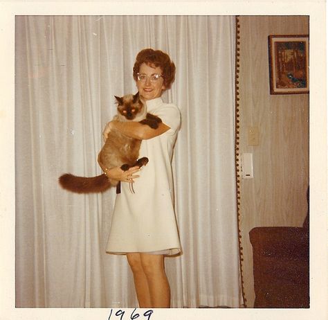 1969. Grandma has nice legs! Vintage Siamese Cat, Vintage Photography Women, Vintage Polaroid, Cat Photos, Retro Photo, Vintage Life, Vintage Portraits, 60s Fashion, Vintage Cat