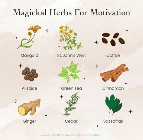 Motivation Herbs Witchcraft, Motivation Oil Witchcraft, Herbs For Motivation Witchcraft, Herbs For Aries, Herbs For Motivation, Herbs For Creativity, Aries Herbs, Herbs For Clarity, Happiness Herbs