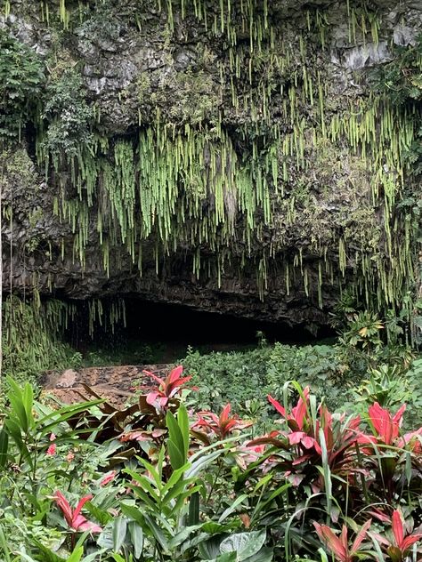 Fern Grotto Kauai Fern Grotto Kauai, Fern Grotto, Fern Gully, Vacation Hawaii, Pokemon Regions, Hawaii Trip, Natural Man, Pacific Islands, Kauai Hawaii