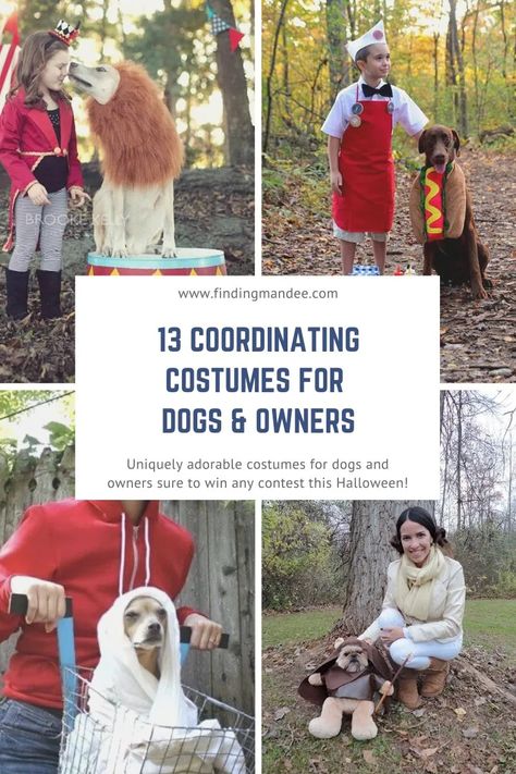 Dog Family Costume Ideas, Halloween Dog And Owner Costumes, Funny Dog Costumes With Owner, Dog Pair Halloween Costumes, Home Made Dog Costumes, Halloween Dog Costume Diy, Group Halloween Costumes With Dog, Little Dog Costumes, Dog Superhero Costume