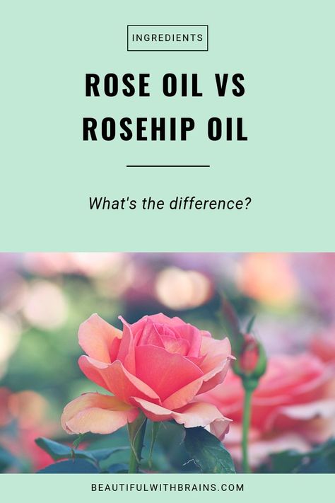 Rose oil vs rosehip oil: what's the difference and which one is right for you? Click on the pin to find out #naturalskincare #antiaging #rosehipoil Rose Oil Diy, Rose Oil Benefits, Rose Oil For Skin, Rosehip Oil Benefits, Asian Skin, Essential Oil Benefits, Rosehip Seed Oil, Korean Skin, Rose Essential Oil