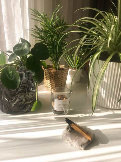 Home plants candle palo santo incense pilea flower pot crystal Palo Santo Aesthetic, Journaling 2024, Palo Santo Incense, Life Plans, Home Plants, Open Window, Flower Pot, Incense, Flower Pots