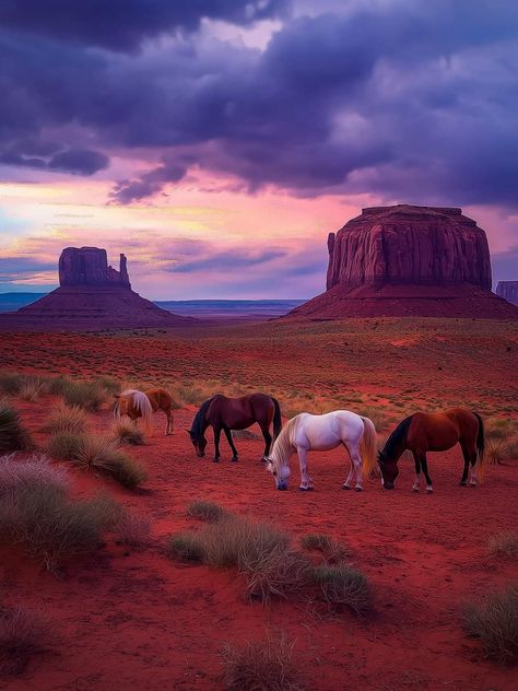 Sedona Arizona Travel, Monument Valley Arizona, Desert Places, Arizona Photography, Western Landscape, Beautiful Landscape Photography, Gorgeous Scenery, Landscape Concept, Summer Road Trip