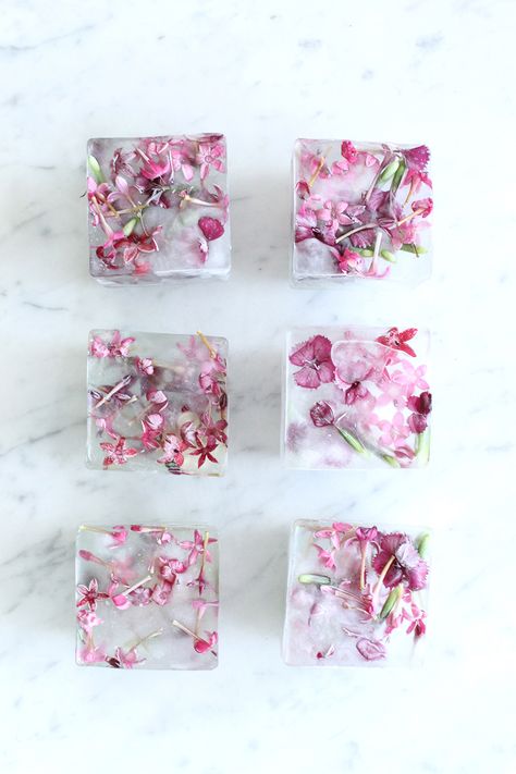 Homemade Floral Ice Cubes | Summer entertaining, summer party ideas and more from @cydconverse Dinner Party Salad, Floral Ice Cubes, Flower Ice Cubes, Floral Ice, Soya Mumu, Flower Ice, Salad Toppers, Kampot, Dandelion Recipes