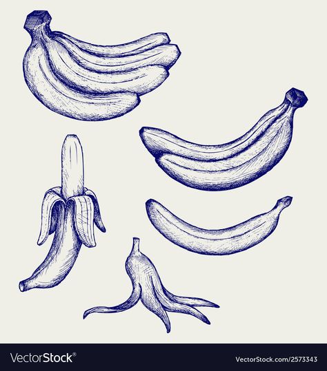 Banana Peel Tattoo, Banana Icon, Banana Tattoo, Banana Drawing, Banana Illustration, Banana Sketch, Banana Peel, Banana Art, Observational Drawing