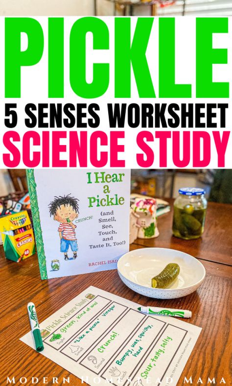 5 Senses Experiment, Pickle Activities Preschool, Pickle Science Experiment, Five Senses Science Experiments, Five Senses Science Preschool, Five Senses Experiments For Kids, 5 Senses Experiments For Kids, I Hear A Pickle Activities, September Homeschool