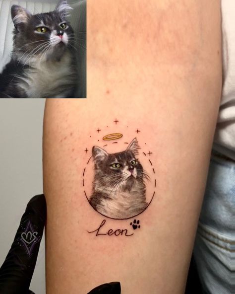 Lost Cat Tattoo, Spine Tattoo Simple, Small Tattoo Ideas Back, Finger Tattoo Minimalist, Cat Memorial Tattoo, Cat Tattoos Ideas, Tattoo Ideas Back, Simple Cat Tattoo, Tattoo Dainty