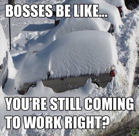 Bosses be like...you're still coming to work, right? Snow Meme, Medicine Humor, Winter Humor, Snow Humor, Winter Funny, Funny Friday Memes, Meme Meme, Teacher Memes, Memes Of The Day