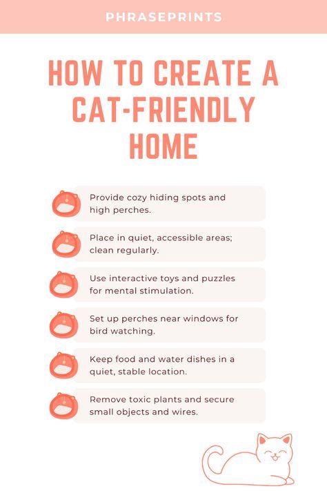 New Cat Owner Checklist, Cats For Beginners, Tips For Cat Owners, New Cat Owner Tips, Cat Tips Life Hacks, Cat Owner Tips, Cats Tips, First Time Cat Owner, Cat Loaf