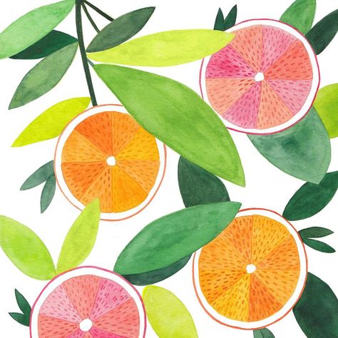 @peacelettering Citrus Watercolor, Flat Illustration Style, Art Fruit, Watercolor Fruit, Fruit Illustration, Watercolor Sunflower, Spring Art, Art Summer, Orange Art