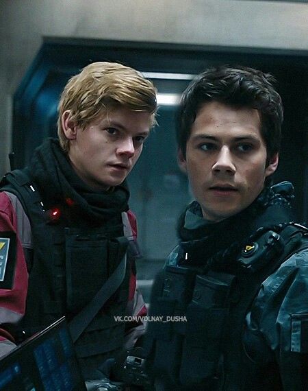 Maze Runner 1, Maze Runner Characters, Maze Runner Thomas, Maze Runner Trilogy, Maze Runner Funny, Maze Runner Cast, Newt Maze Runner, Maze Runner Movie, Maze Runner Series