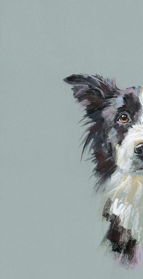 Nicky Litchfield, Animal Painter, Dog Watercolor Painting, 강아지 그림, Black And White Dog, Watercolor Dog, Dog Drawing, Dog Paintings, British Artist