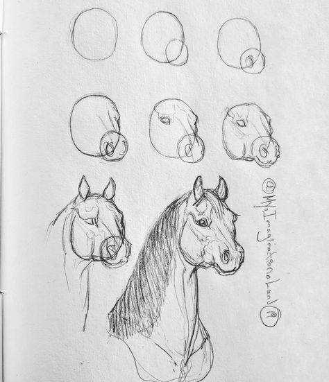 Horse Doodle, Horse Drawing Tutorial, Draw A Horse, Horse Art Drawing, I Love Art, Horse Artwork, Beauty Art Drawings, Horse Drawing, Fine Art Drawing