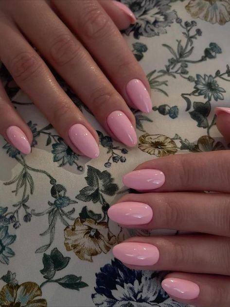 Plain Pink Nails Almond, Nails Round Design Ideas, Oval Baby Pink Nails, Short Almond Nails Color, Almond Small Nails, Pink Oval Nails Short, Baby Pink Short Acrylic Nails, Short Medium Almond Nails, Pink Rounded Nails