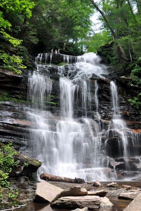 Rickett's Glen State Park, Pennsylvania. Taken on Saturday, July 19, 2014. 22 waterfalls on a 7 mile loop trail. Waterfall Tattoo, Vacation Images, Waterfall Pictures, World Most Beautiful Place, Most Beautiful Horses, Trip Planner, Waterfall Photography, Places In The World, Beautiful Places Nature