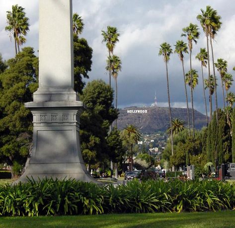 About Hollywood Forever | Cemetery and Cultural Event Center La Museum Of Art, Road Trip West Coast, Hollywood Cemetery, Chandelier Tree, Bicycle Cafe, Wayfarers Chapel, Hollywood Forever Cemetery, Things To Do In La, Paramount Studios