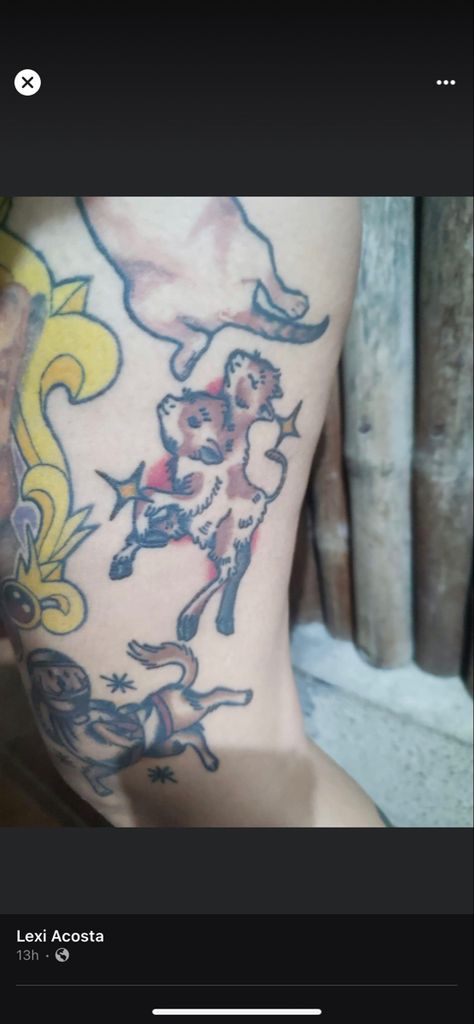 Two Headed Calf Tattoo Traditional, Two Headed Calf Tattoo, Two Headed Calf, Tattoo Traditional, Calf Tattoo, Leg Sleeves, Traditional Tattoo, Tattoo Ideas, Tattoos