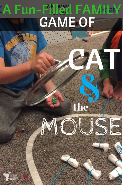 Hilarious game of Cat and the Mouse! Great game to play with your kids of ALL AGES!! Cat Games For Kids, Fun Games For Teenagers, Fun Games For Adults, Online Party Games, Cat Themed Birthday Party, Games To Play With Kids, Game To Play, Indoor Games For Kids, Cat Birthday Party