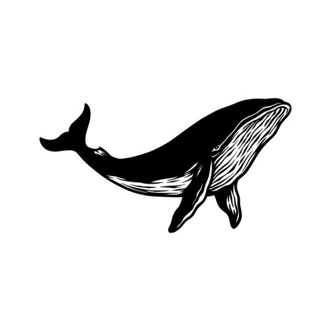 Whale Illustration Art, Whale Silhouette, Print Making Designs, Whale Fish, Whale Drawing, Cartoon Whale, Whale Illustration, Drawn Fish, Fish Silhouette