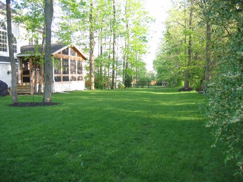 Big, open, shady backyard Backyard Landscaping Country, Backyard For Dogs, Large Backyard Ideas, Large Backyard Landscaping, Backyard Layout, Big Backyard, Backyard Water Feature, Backyard Gazebo, Deck Designs Backyard