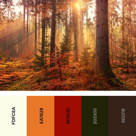 This forest looks so magical! I'm definitely getting fairytale vibes. Fairy Tale Color Palette, Fairytale Vibes, Color Palette Autumn, Palette Autumn, Forest Vibes, Fairy Tale Forest, Dragon Riders, Popular Fonts, Great Fonts